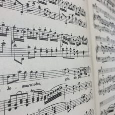 Junge (SATB) – Sicher deine Stimme lernen